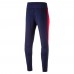 Брюки AFC Training Pant tapered with two zipped pockets