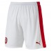 Шорты AFC Replica Shorts with Innerslip