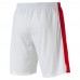 Шорты AFC Replica Shorts with Innerslip