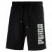 Шорты PUMA Hero Shorts 10 TR