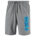 Шорты PUMA Hero Shorts 10 TR