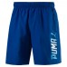 Шорты PUMA Rebel Woven Shorts