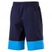 Шорты STYLE SUMMER Multi Stretch Shorts